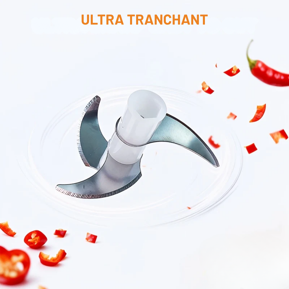 Hachoir à Ail Électrique USB 450 ml – Mini Robot Culinaire Multifonction Sans Fil